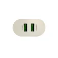 Taar 3A Dual Port Fast Charging Adapter with Micro Cable